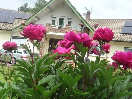 Linchens Bed And Breakfast Felbridge Exteriör bild